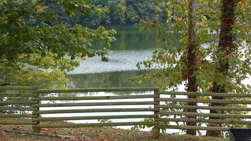 New Lake Park Lake Fence