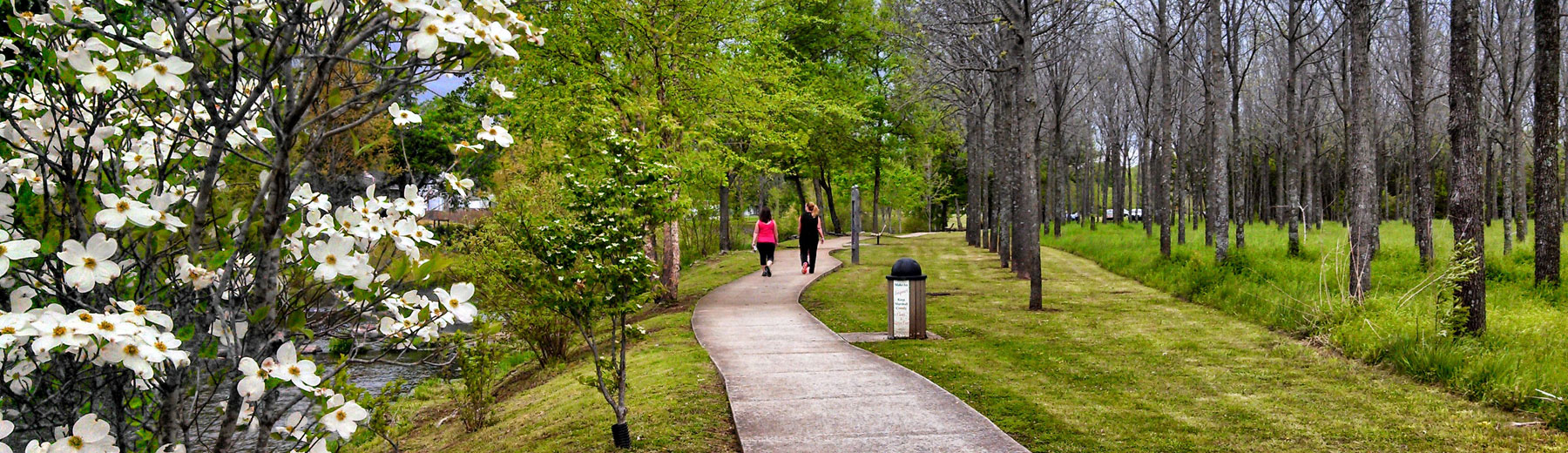 Women walking a park trail